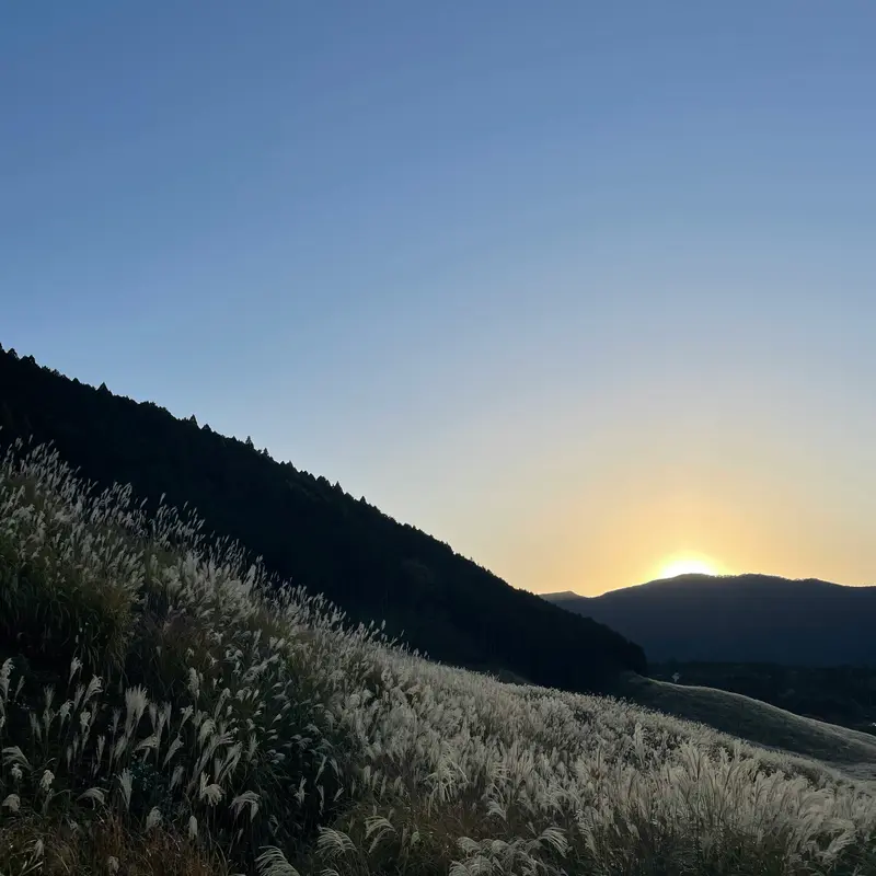 Alternative energy landscape at sunset